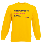 Bluza klasyczna: Cierpliwości! Analizuję dane.