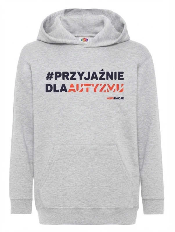 aspiracje_bluza_dzieci_przyjaźnie_jasnoszary melaż_kaptur.jpeg